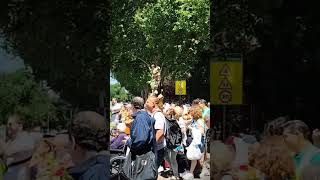 Procesión de San Antonio 2024 Madrid [upl. by Bourn]