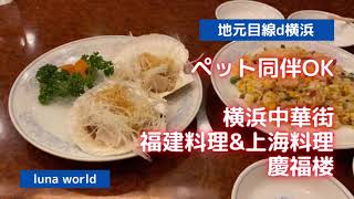 【Yokohama 中華街】ペット同伴OK 福建料理amp上海料理 慶福楼 [upl. by Ger]