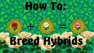 How to Breed Hybrid Flowers Animal Crossing New Leaf [upl. by Ecikram]