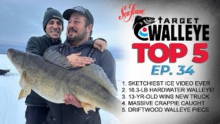 Target Walleyes Top 5 of the Week 🔥 Ep 34 [upl. by Bettina409]