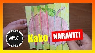 How to make Agamograph  Mali Svet Crtanja [upl. by Poree]