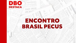 Encontro Brasil Pecus unirá a cadeia produtiva da carne [upl. by Jeroma626]