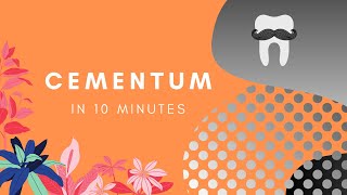 Cementum  Basic Histology in 10 Minutes [upl. by Malamut]