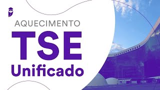 Aquecimento TSE Unificado Direito Eleitoral  Prof Ricardo Torques [upl. by Belter]