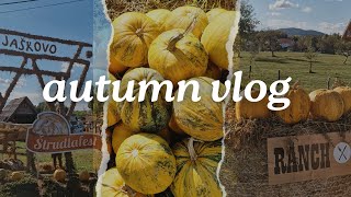 Cosy autumn vlog 🍂  pumpkins  fall festivities  Štrudlafest 2024 [upl. by Bradski]