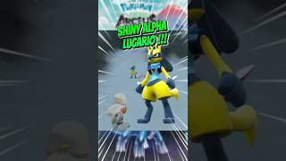 Pokemon Legends Arceus  Catch Shiny ALPHA LUCARIO  pokemonlegendsarceus shinyalpha [upl. by Marella]