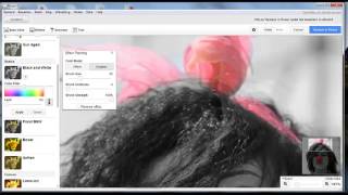 Tutorial Picasa Zwart Wit met kleuraccent via FotoClubNL [upl. by Ecyob]