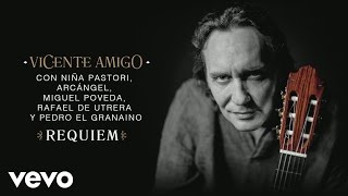 Vicente Amigo  Réquiem Audio [upl. by Truscott864]