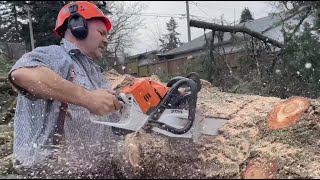 STIHL MS500i  World’s 1st Fuel Injected Chainsaw [upl. by Lattonia329]