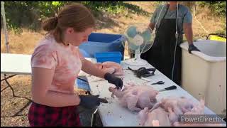 How to Process a Chicken in a Few Easy Steps Glassen Farms a Nanaimo Farming Guide [upl. by Ynatsyd]