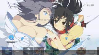 Senran Kagura Estival Versus Theme PS4 [upl. by Lachus]