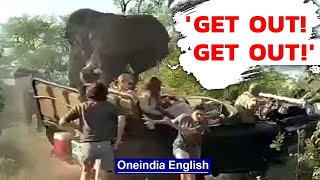 Aggressive elephant attacks safari vehicle as passengers run in South Africa  Watch  Oneindia News [upl. by Haakon135]