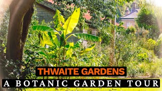 Thwaite Gardens September Tour with Steve Howe  Exotic Plants amp Tropical Displays [upl. by Anyzratak]