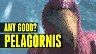 Pelagornis  How to TameEverything you need to know Ark Survival Evolved [upl. by Esineg]