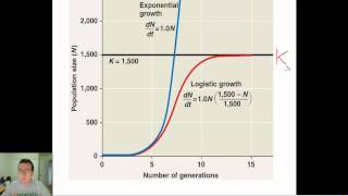 Population Growth Patterns [upl. by Haisi178]