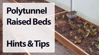 Polytunnel  Raised beds build [upl. by Rici]