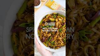 Spicy Szechuan Noodle Stir Fry [upl. by Henryetta]