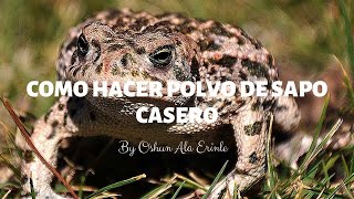 Cómo hacer polvo de sapo casero [upl. by Lotson]