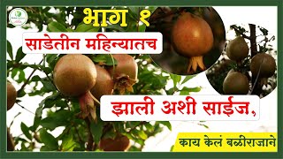 साडेतीन महिन्यातच झाली अशी साईज काय केलं बळीराजाने  Rama Agrotech [upl. by Kettie289]