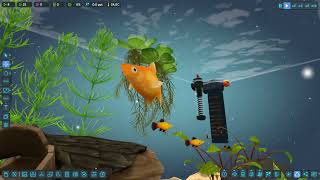 FISHERY Early Access Gameplay Update [upl. by Salomone548]