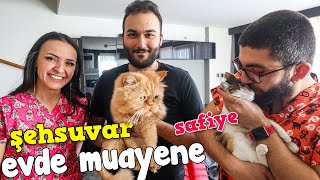 MuratAbiGF ve Kedileri  Şehsuvar Safiye  Evde Muayene [upl. by Jessie]