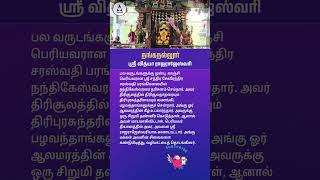 Nanganallur Sri Vidya Rajarajeshwari [upl. by Rigby]