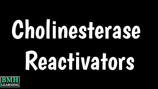 Cholinesterase Reactivators  Pralidoxime Uses  Organophosphate Poisoning [upl. by Tahp675]