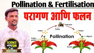 POLLINATION AND FERTILISATION Agent of pollinationtwo modes of pollination [upl. by Resa]