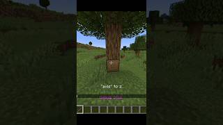 Minecraft useful command Debug stick minecraftshorts command minecraft [upl. by Bartie]