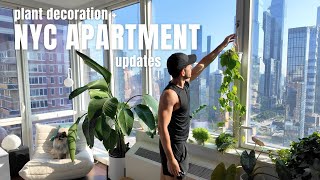 NYC Apartment Updates Adding plant decor rearranging the living room and organizing the kitchen [upl. by Normie]