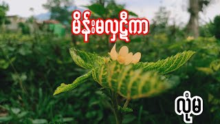 Burnese Audio Story Part 53 မိန်းမလှဋီကာ လုံမ [upl. by Mischa]