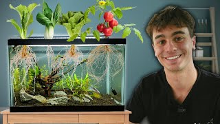 I Grew 7 Easy Vegetables in My Aquarium [upl. by Warfeld]