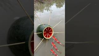 Survival Skills Single mom with watermelon fish trap survival camping bushcraft fish [upl. by Feriga]