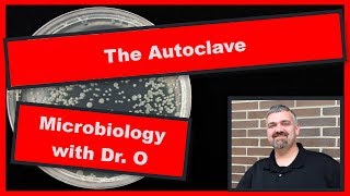 Autoclave Microbiology [upl. by Celinka]