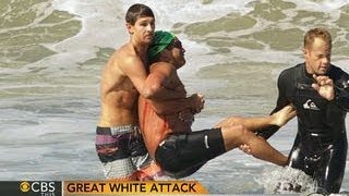 Great white shark attack California swimmer survives bite [upl. by Theis]