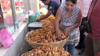 Hongos Comestibles silvestres Cantharellus odoratus [upl. by Alvina128]