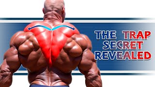 Ultimate Traps Workout Get Bigger Traps in 30 Days [upl. by Sagerman]