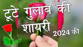 टूटे गुलाब की शायरी 2024 🌹Tute Gulab Ki Shayari 🌹 Gulab Shayari [upl. by Thadeus]