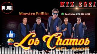 LOS CHAMOS DEL AMOR ♦️MIX 2021♦️ Luigi Dj☆● [upl. by Yllier]