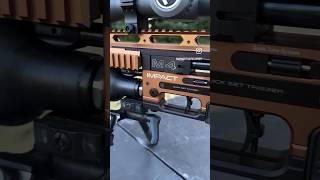 FX Impact M4 The Evolution of Airgun Precision [upl. by Neetsyrk]