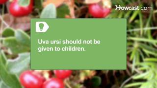 How to Use Uva Ursi [upl. by Lundberg806]