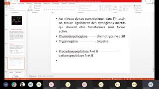 cours biochimie métabolique partie 5cycle de lurée et métabolisme des acides aminés et nucléiques [upl. by Annehs411]