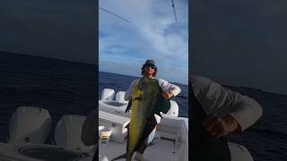 Solid dolphin Start to finish fishing fish wow mahimahi epic [upl. by Ailama28]