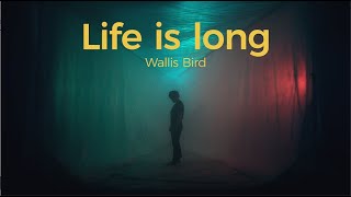 Wallis Bird  Life Is Long Official Video [upl. by Ruskin]