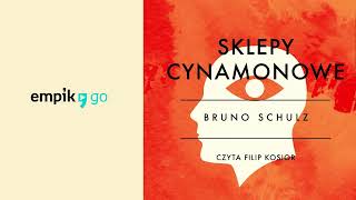 Lektura szkolna Sklepy cynamonowe  Bruno Schulz Audiobook PL [upl. by Yenitirb]