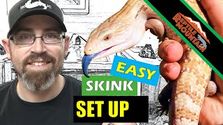 Blue Tongue Skink Setup Simple  Ep 85 [upl. by Airrotal]