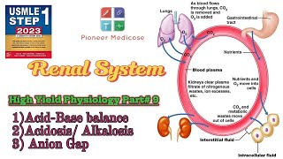 AcidBase Balance Acidosis Alkalosis Anion Gap from First AID step 1 Physio part 9 HindiUrdu [upl. by Nonnelg]