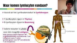 Vwo 56  Biologie  Afweer H16H21  5 Activatie specifieke afweer  cellulaire immuniteit §3 [upl. by Enerak]