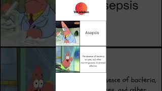 Vet Term of the Day ASEPSIS [upl. by Aknayirp926]