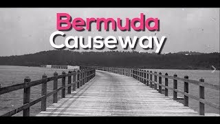 Bermuda Shorts The Bermuda Causeway  BERMEMES [upl. by Fisk]